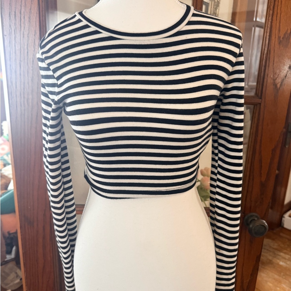 Zara Black and White Striped Crop Top